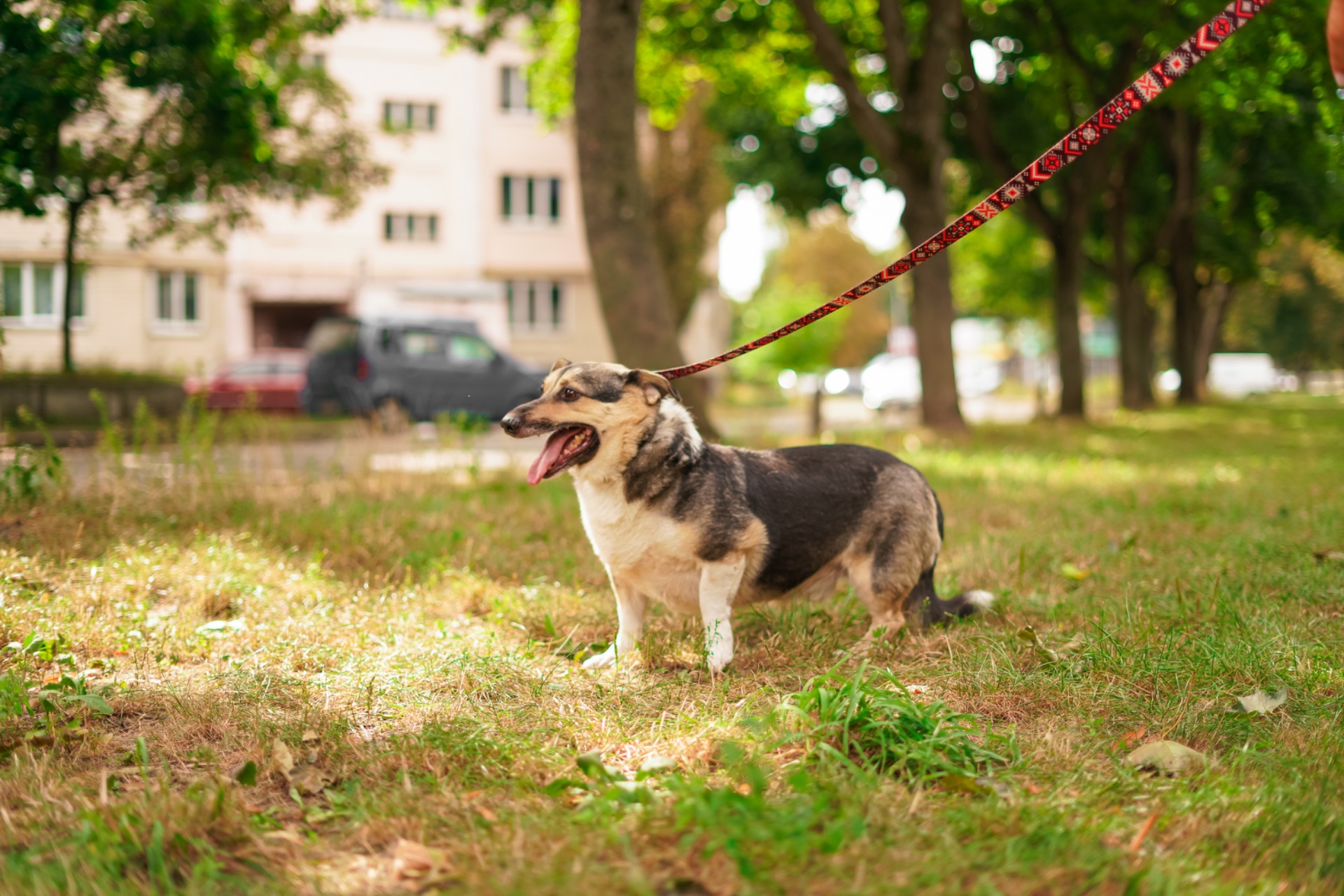 Врятований Малюк чекає на свою нову родину!