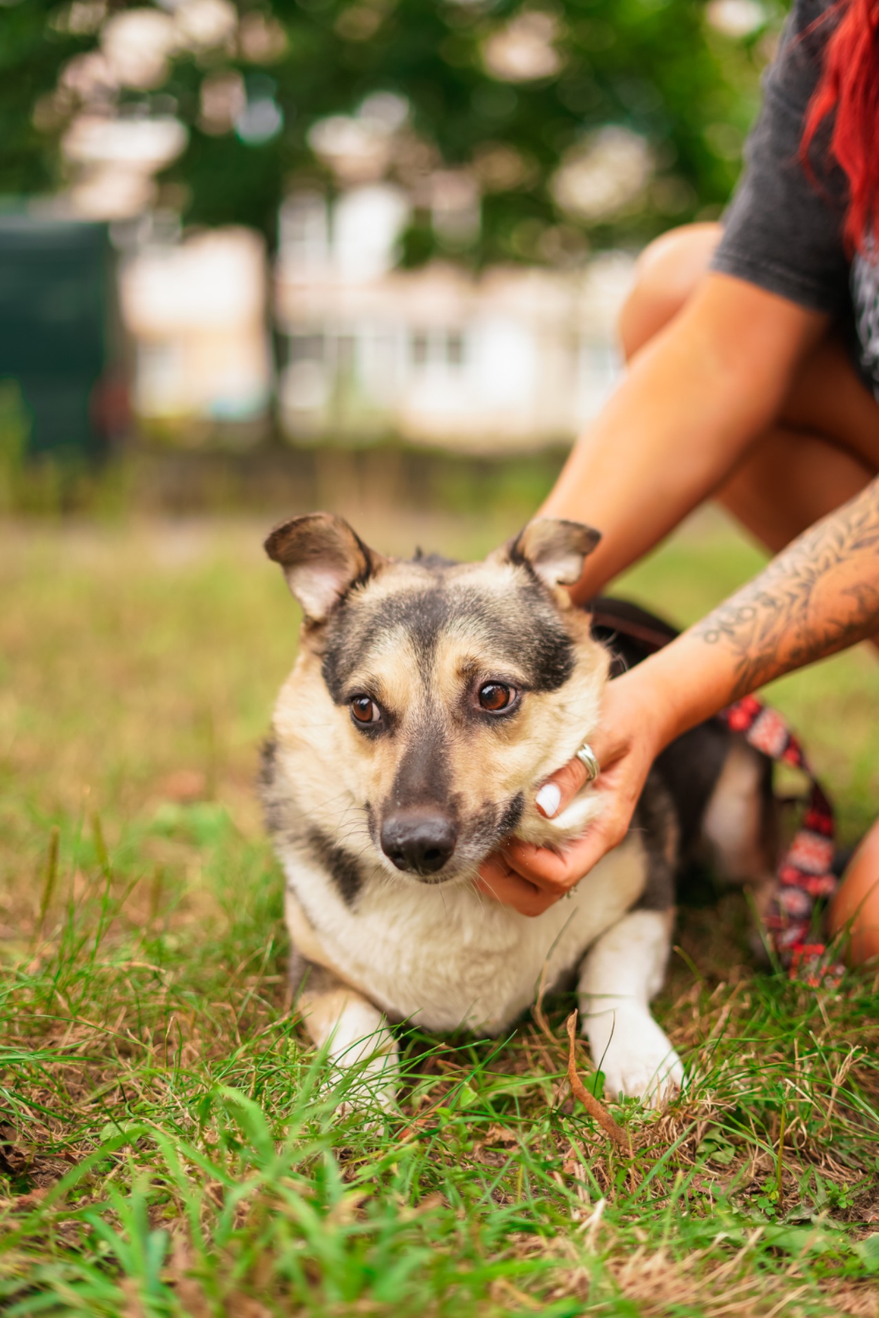 Врятований Малюк чекає на свою нову родину!