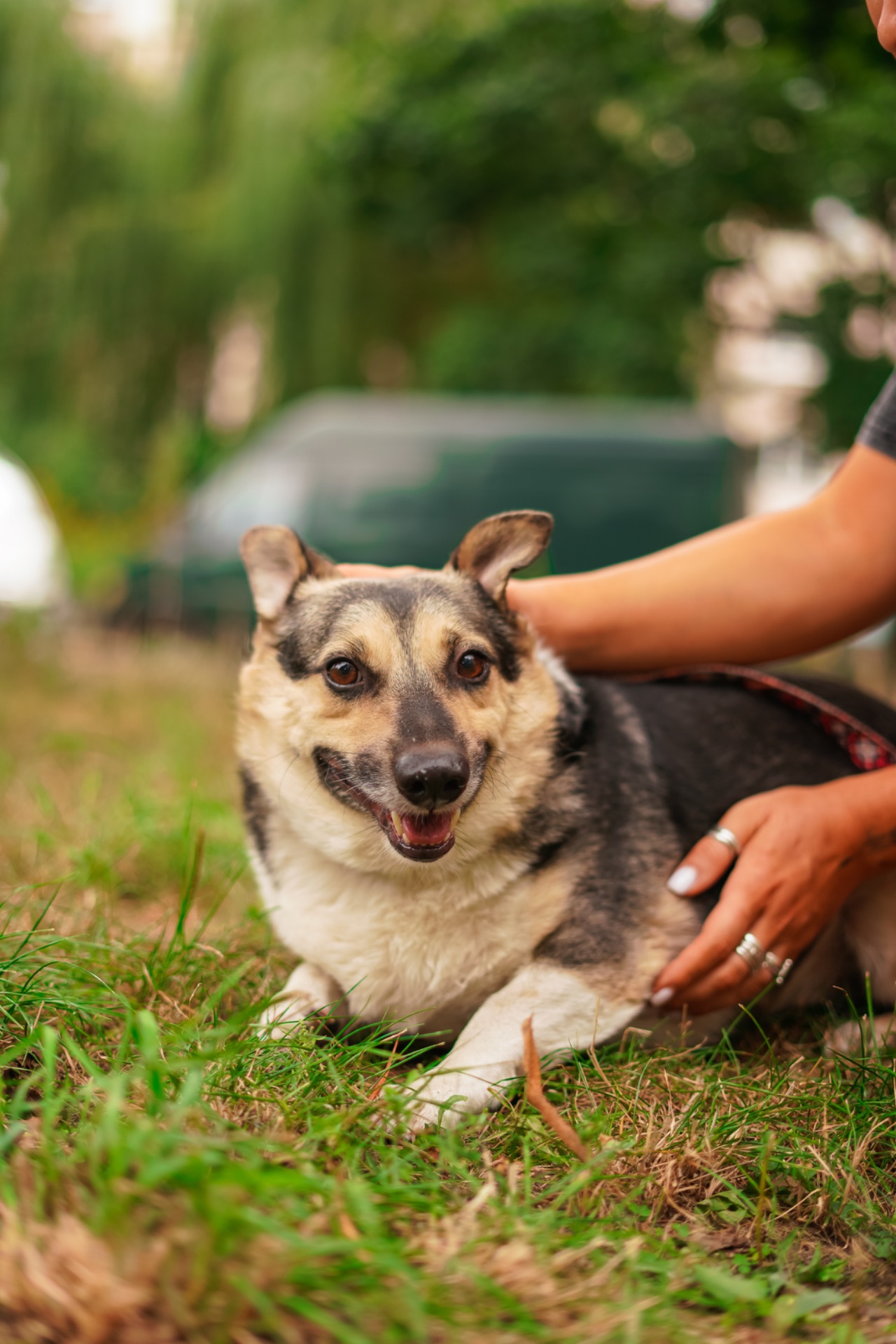 Врятований Малюк чекає на свою нову родину!