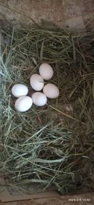 Сформована пара корел