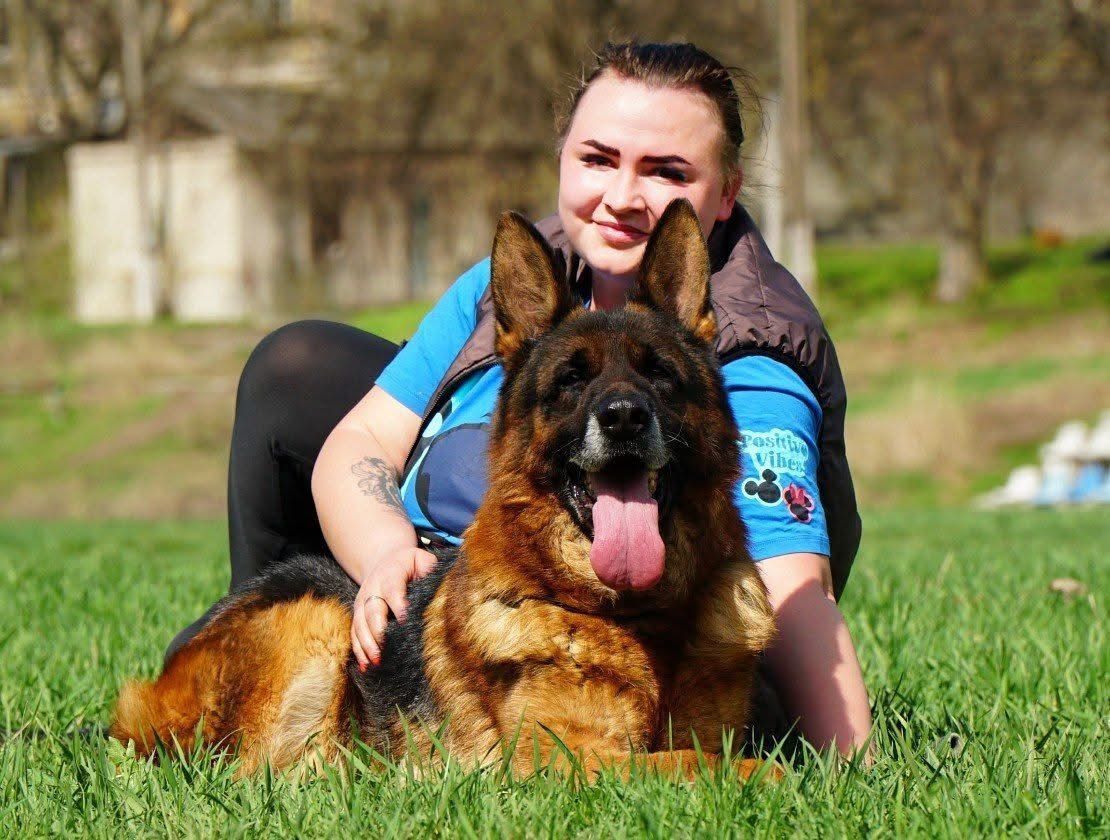 Цуценята німецької вівчарки КСУ