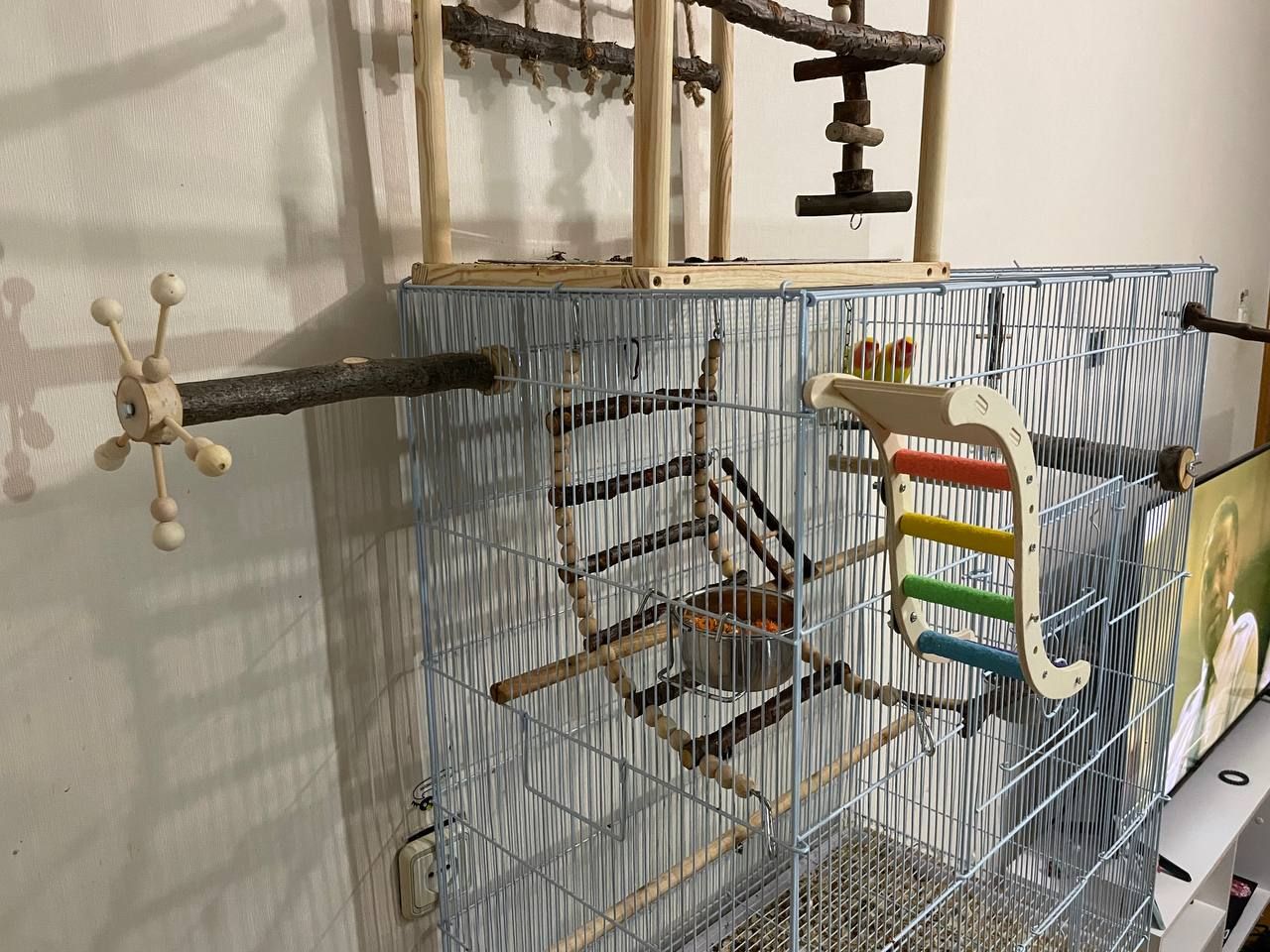 Нерозлучники