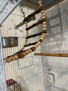 Нерозлучники