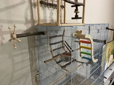 Нерозлучники