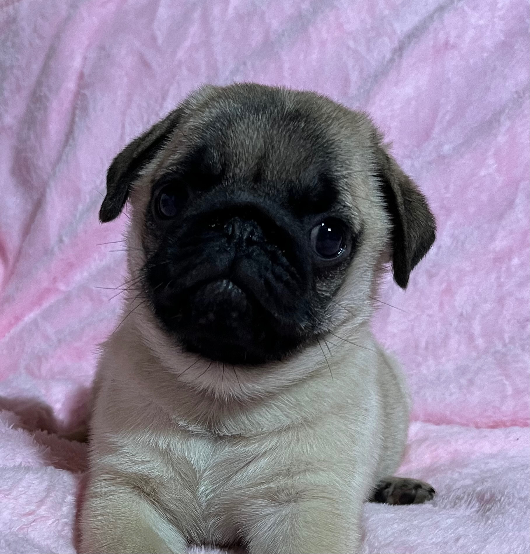 Красиві малюки