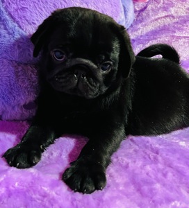 Красиві малюки