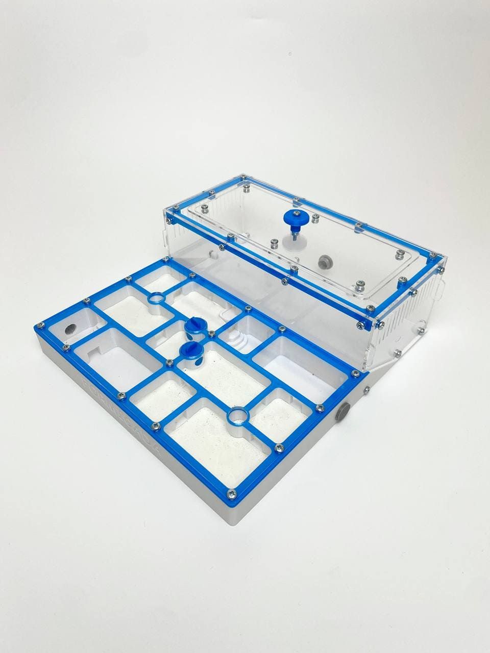 Мурашина ферма AntHome XL (біло-блакитна)