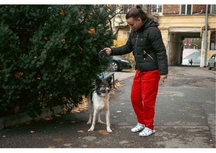 Унікальний хвостик Бім шукає родину!