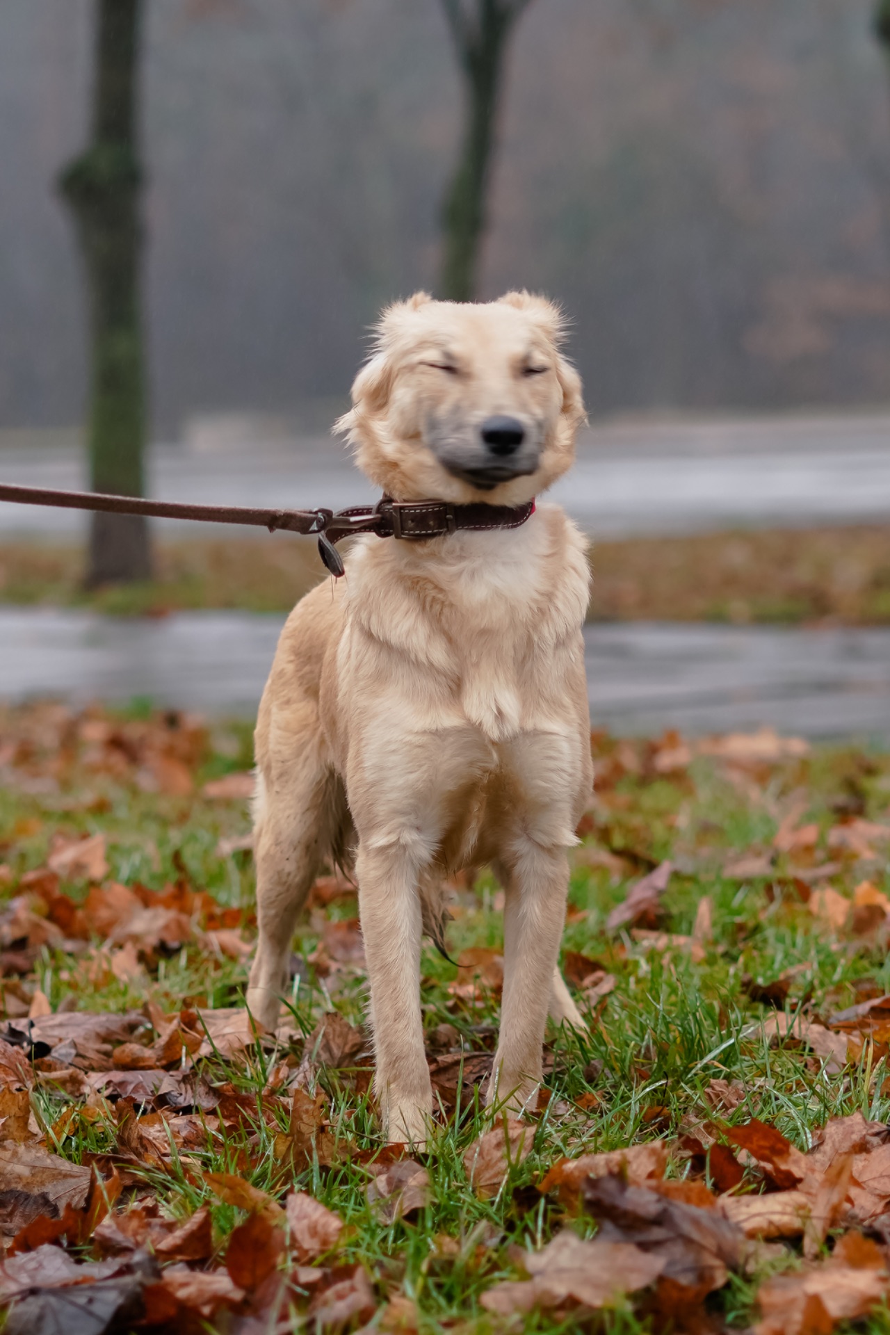 Сестрички Меггі та Верона мріють про родину!
