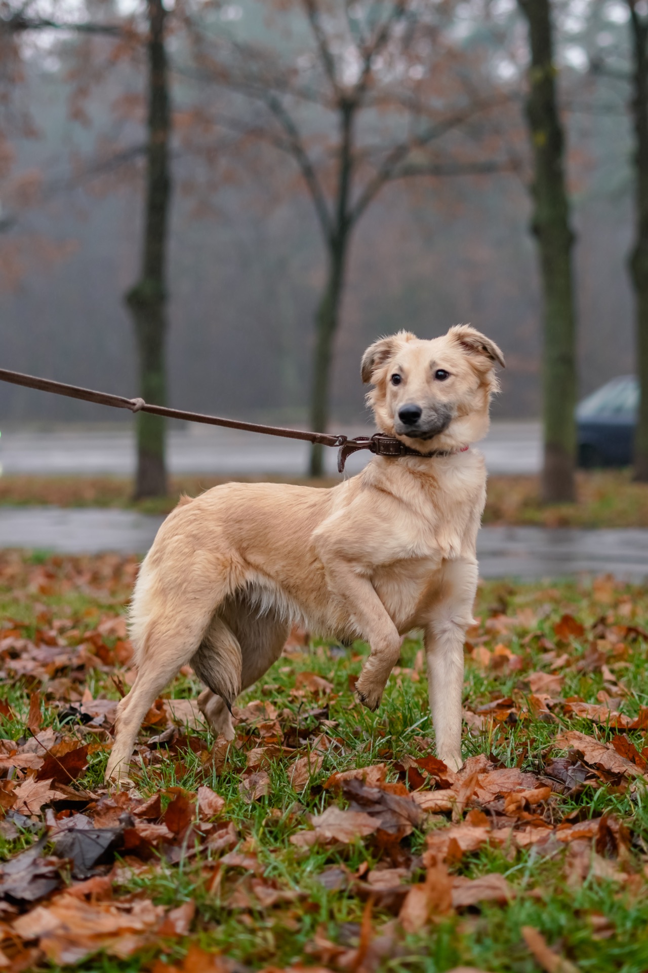 Сестрички Меггі та Верона мріють про родину!