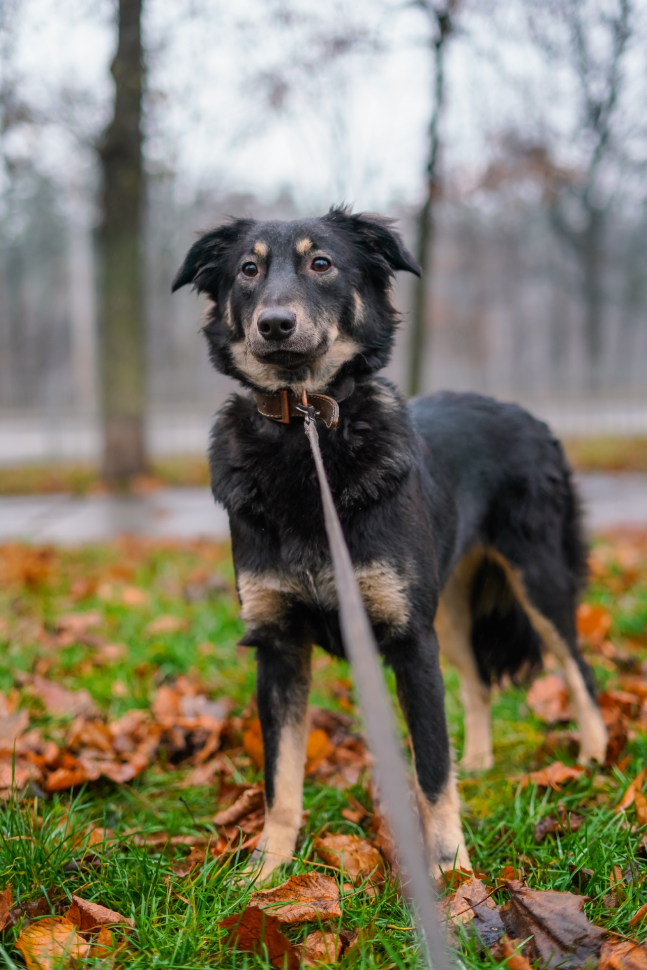 Сестрички Меггі та Верона мріють про родину!