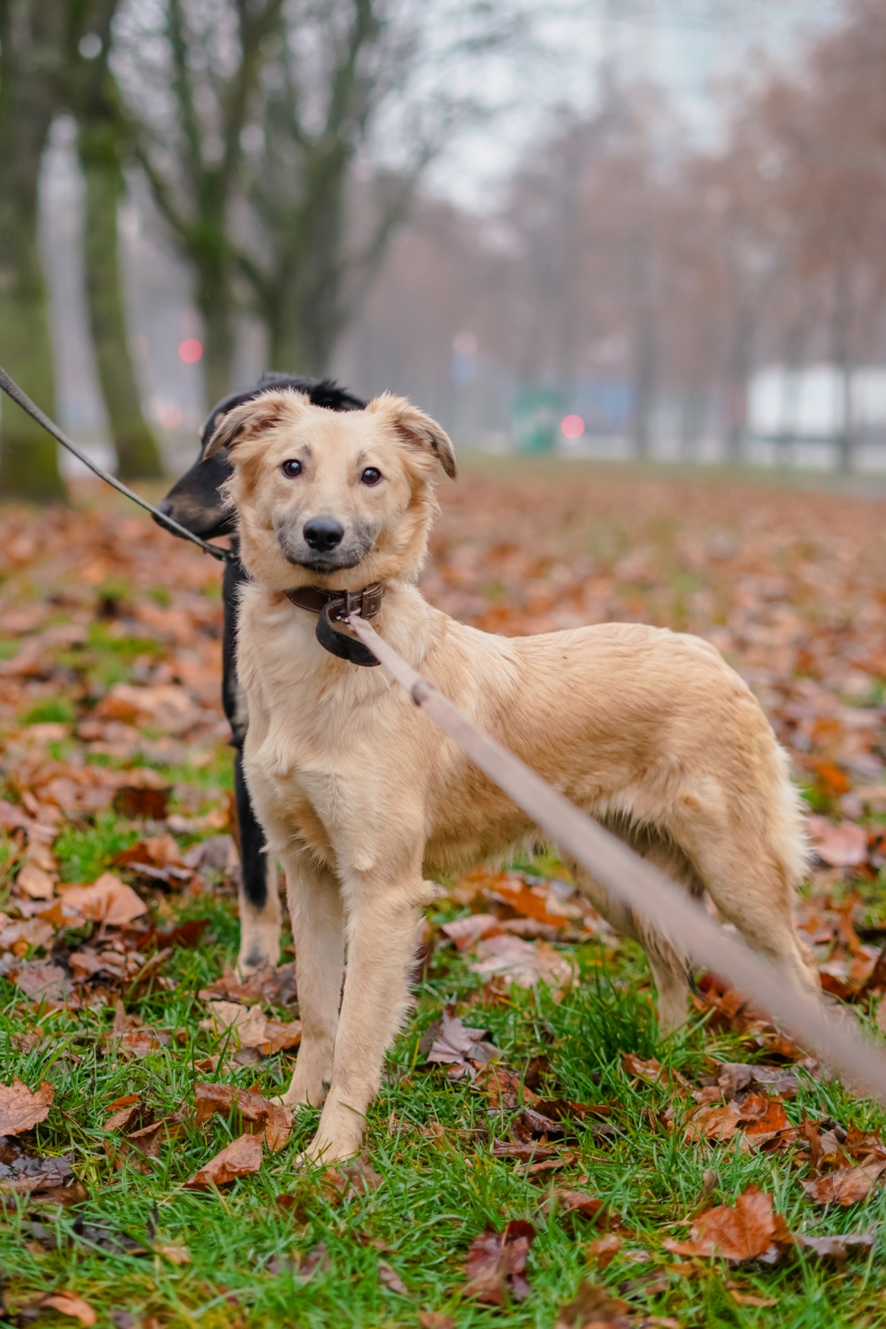 Сестрички Меггі та Верона мріють про родину!