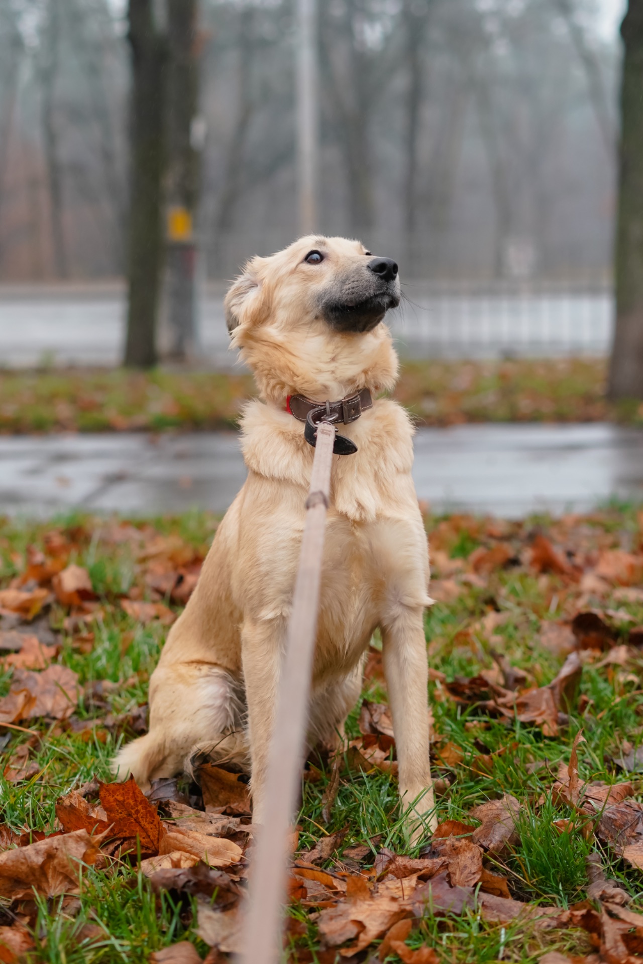 Сестрички Меггі та Верона мріють про родину!