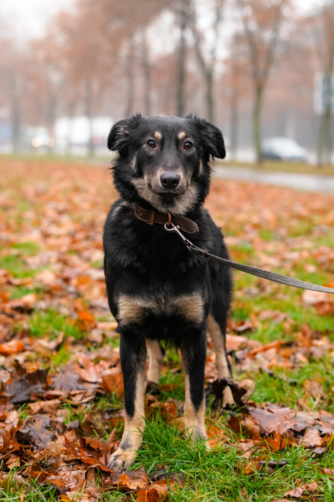 Сестрички Меггі та Верона мріють про родину!