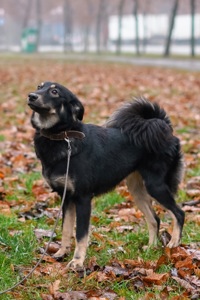 Сестрички Меггі та Верона мріють про родину!