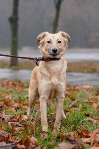 Сестрички Меггі та Верона мріють про родину!
