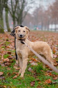Сестрички Меггі та Верона мріють про родину!