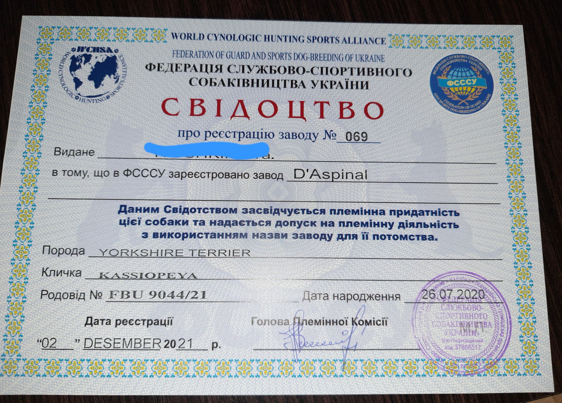 Чарівні цуценята йоркширского тер'єра, готові до переїзду