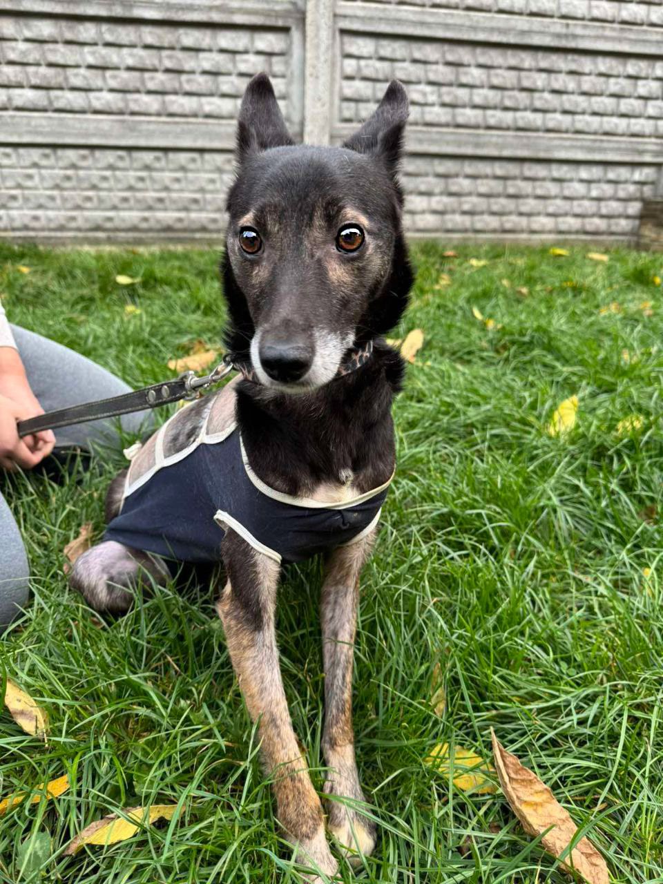 Маленька ЖАДІ, 3р