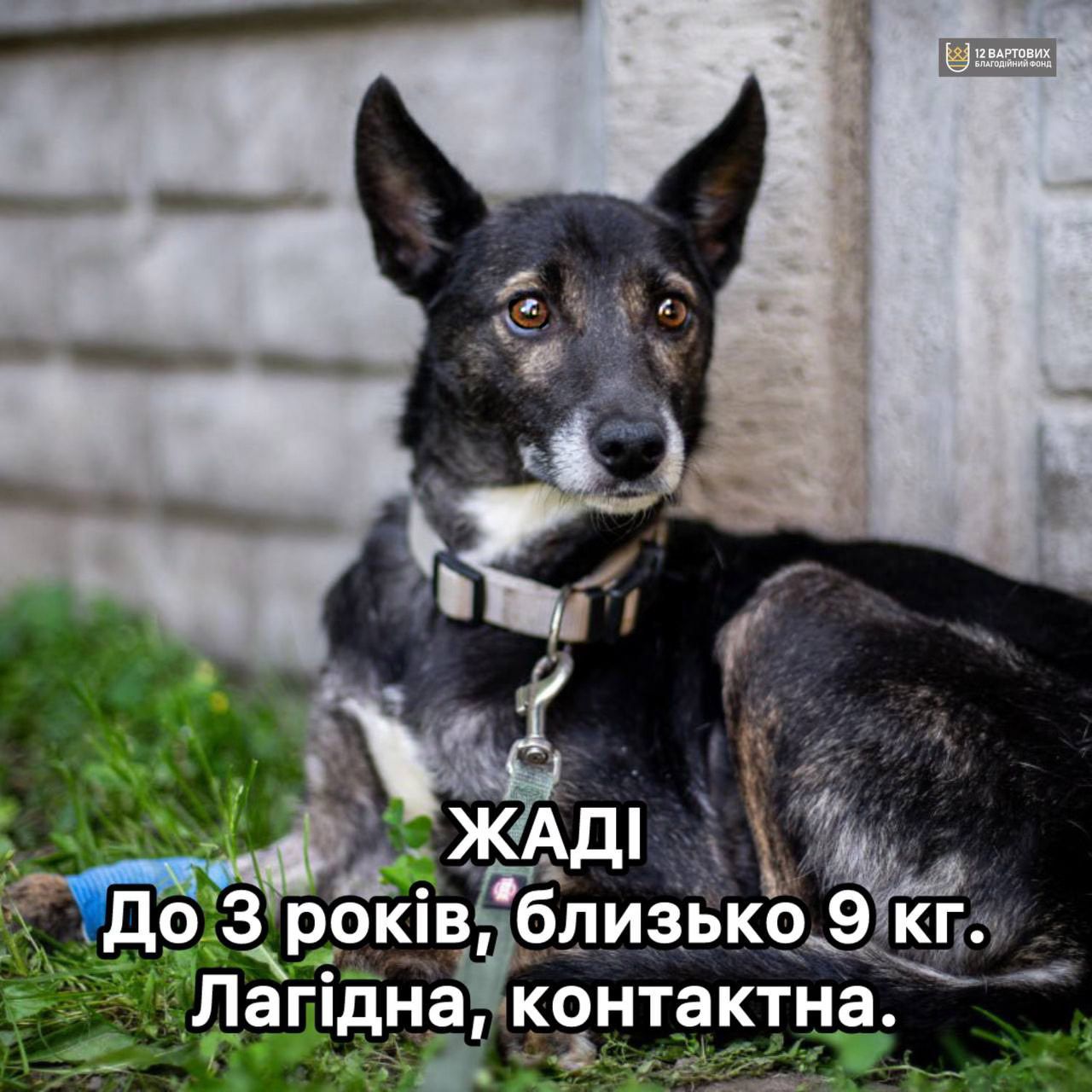 Маленька ЖАДІ, 3р