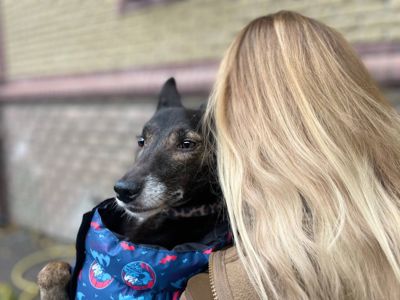 Маленька ЖАДІ, 3р