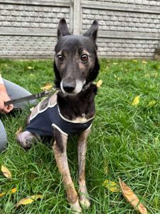 Маленька ЖАДІ, 3р