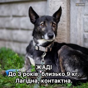 Маленька ЖАДІ, 3р