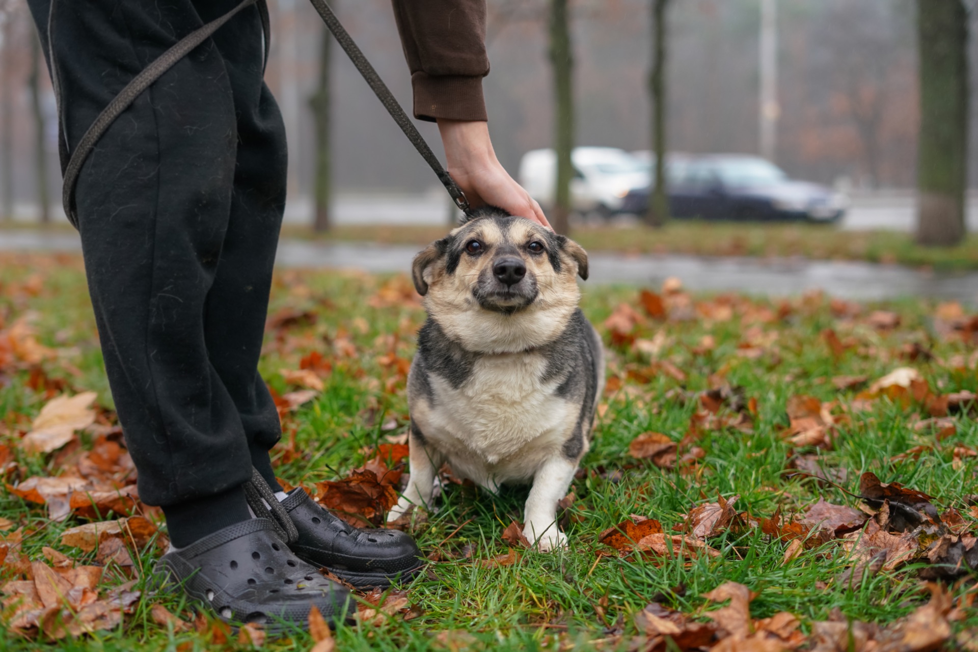 Врятований Малюк чекає на свою нову родину!