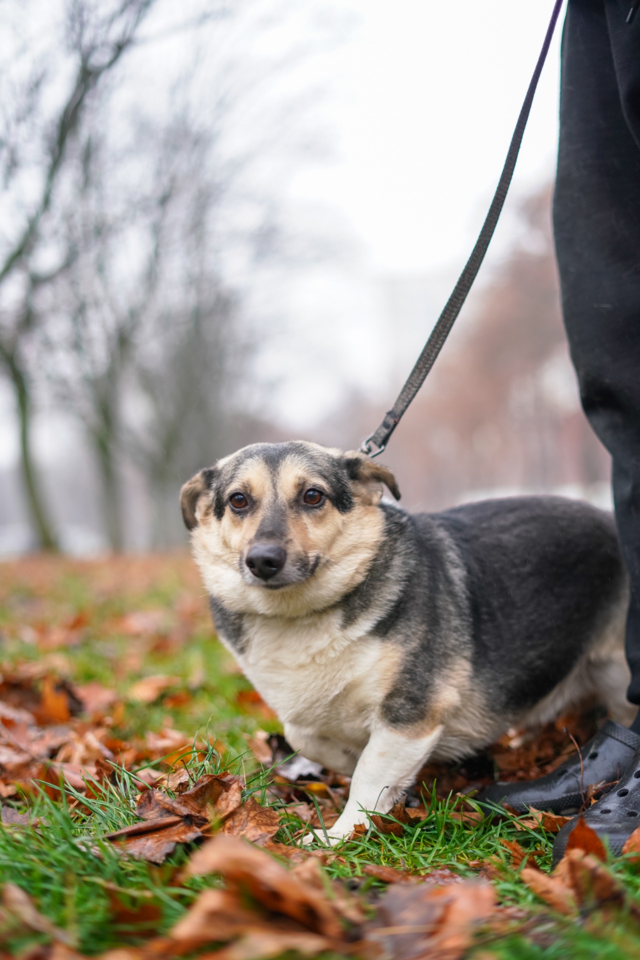 Врятований Малюк чекає на свою нову родину!