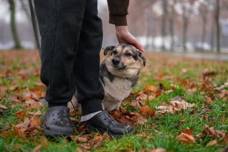 Врятований Малюк чекає на свою нову родину!
