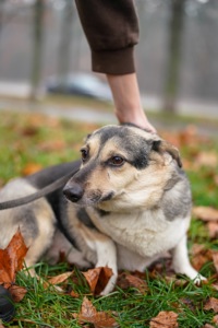 Врятований Малюк чекає на свою нову родину!