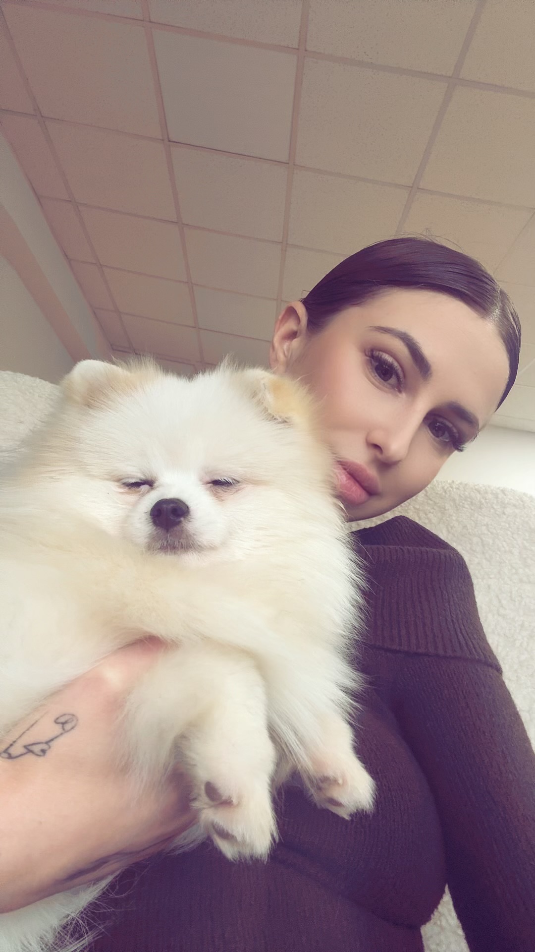 Цуценя померанського шпіца