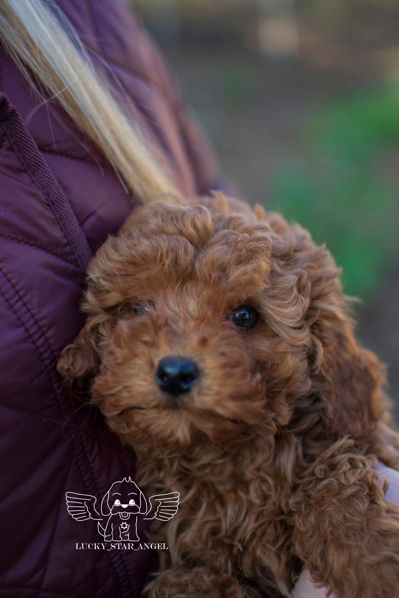 Китайські лінії хлопчик ❤️