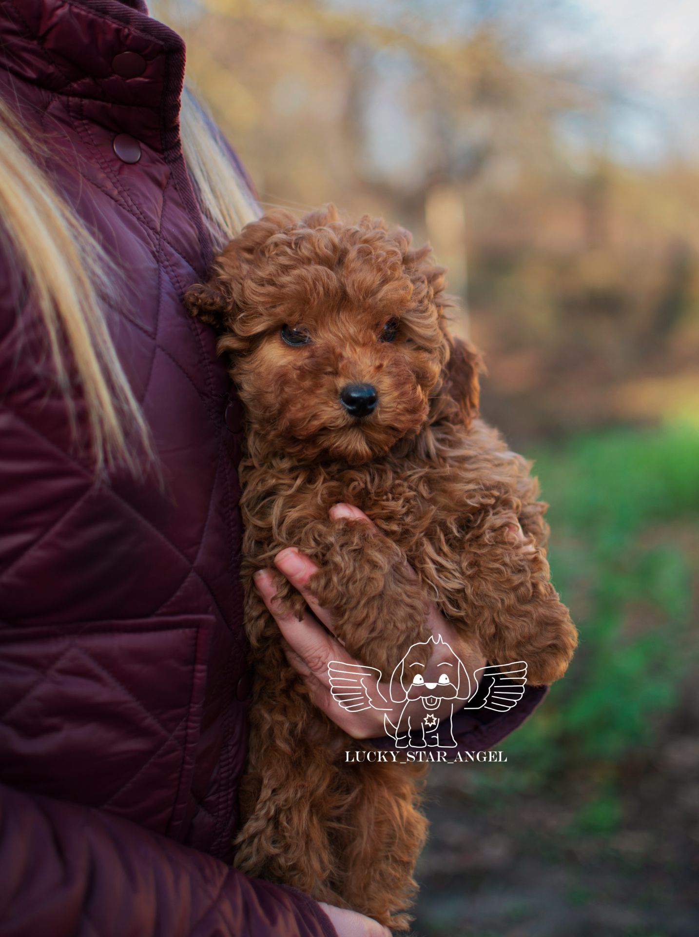 Китайські лінії хлопчик ❤️