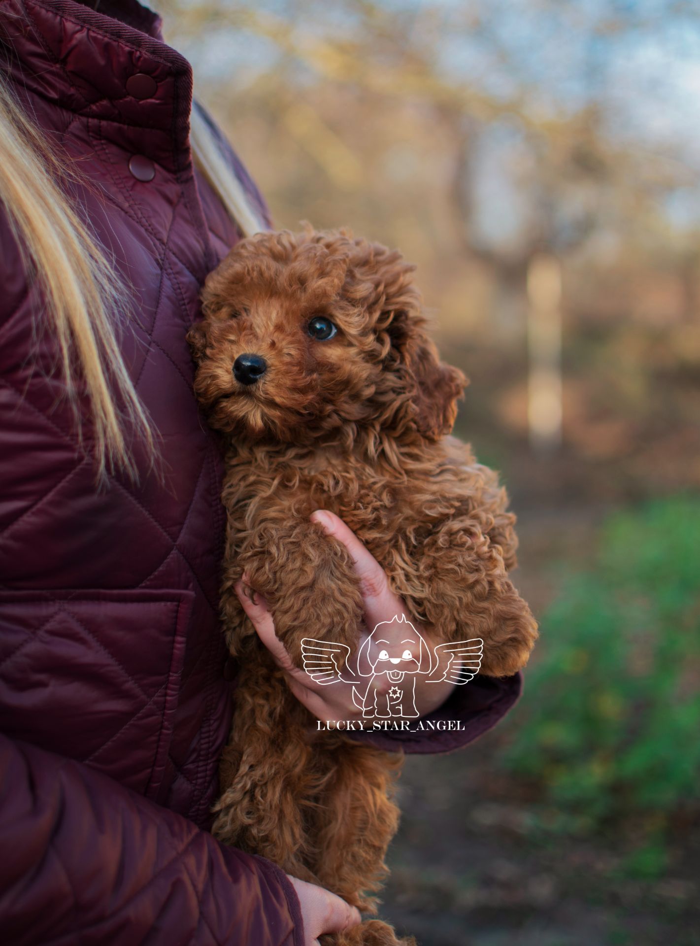 Китайські лінії хлопчик ❤️