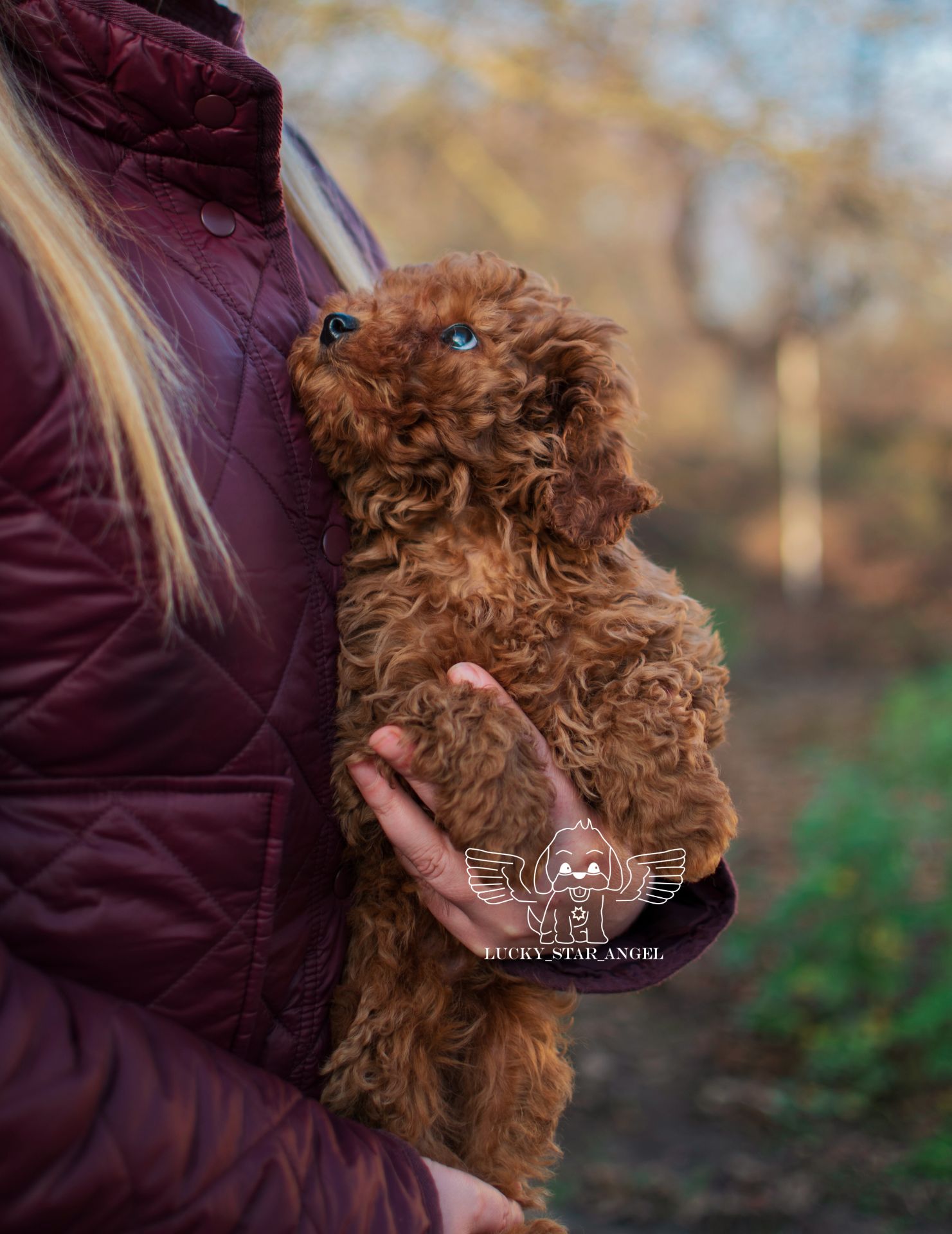 Китайські лінії хлопчик ❤️