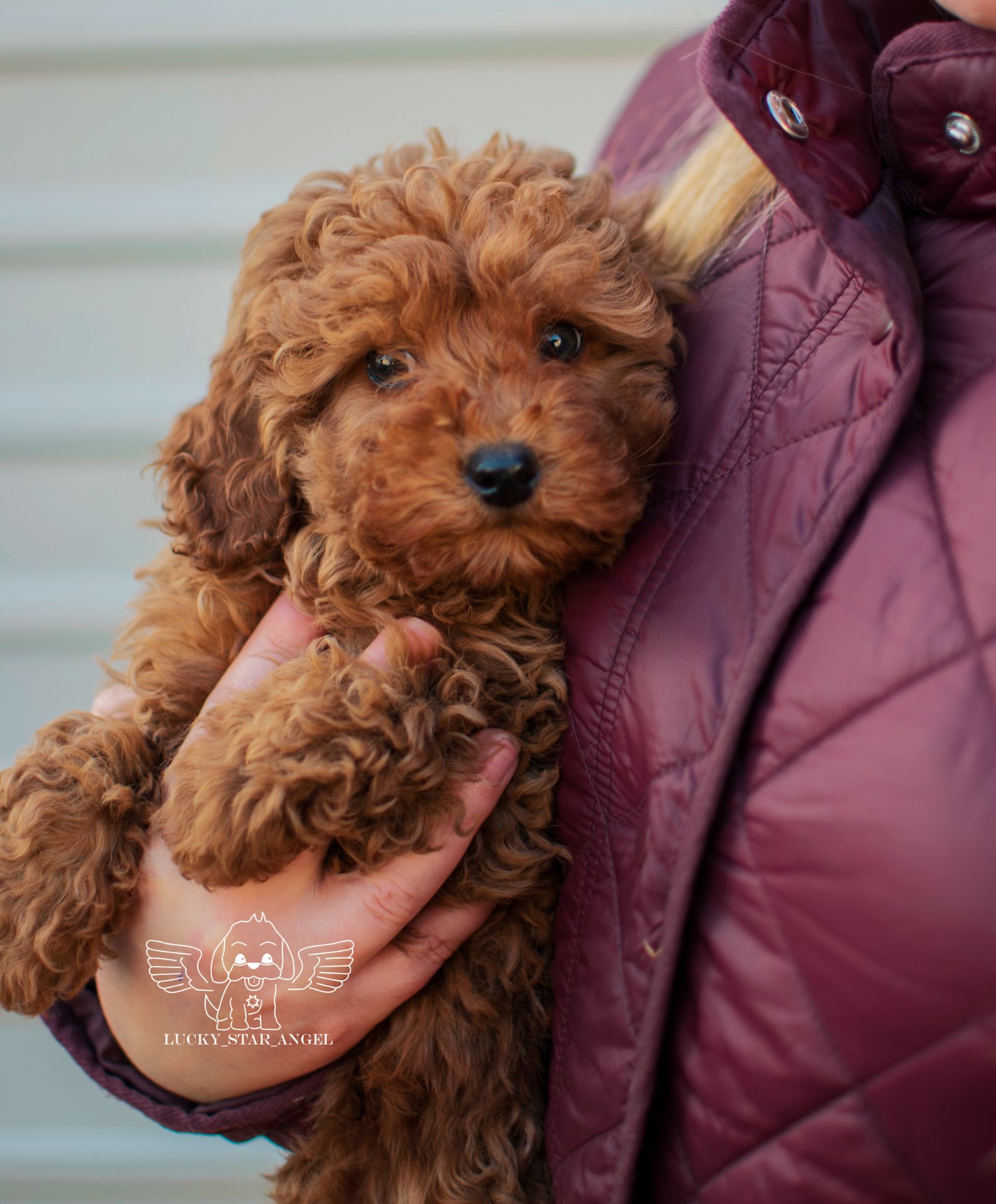 Китайські лінії хлопчик ❤️