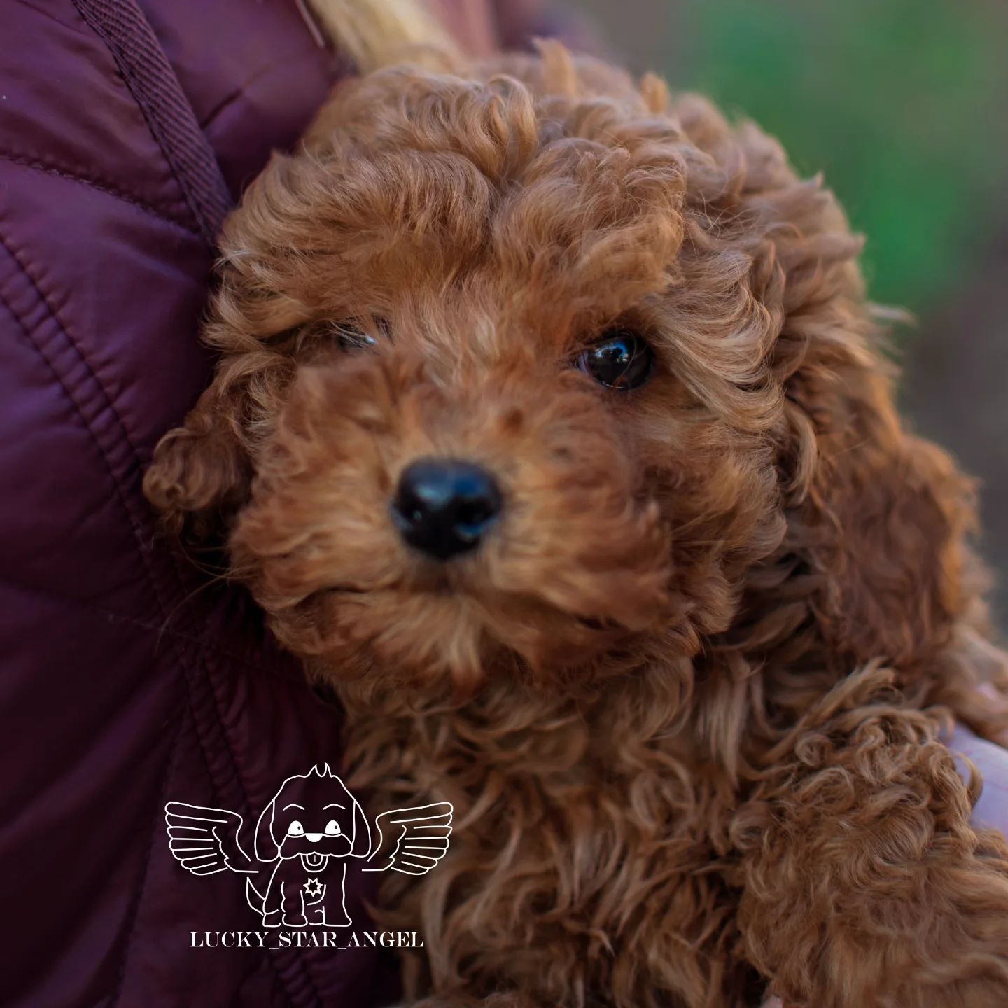 Китайські лінії хлопчик ❤️