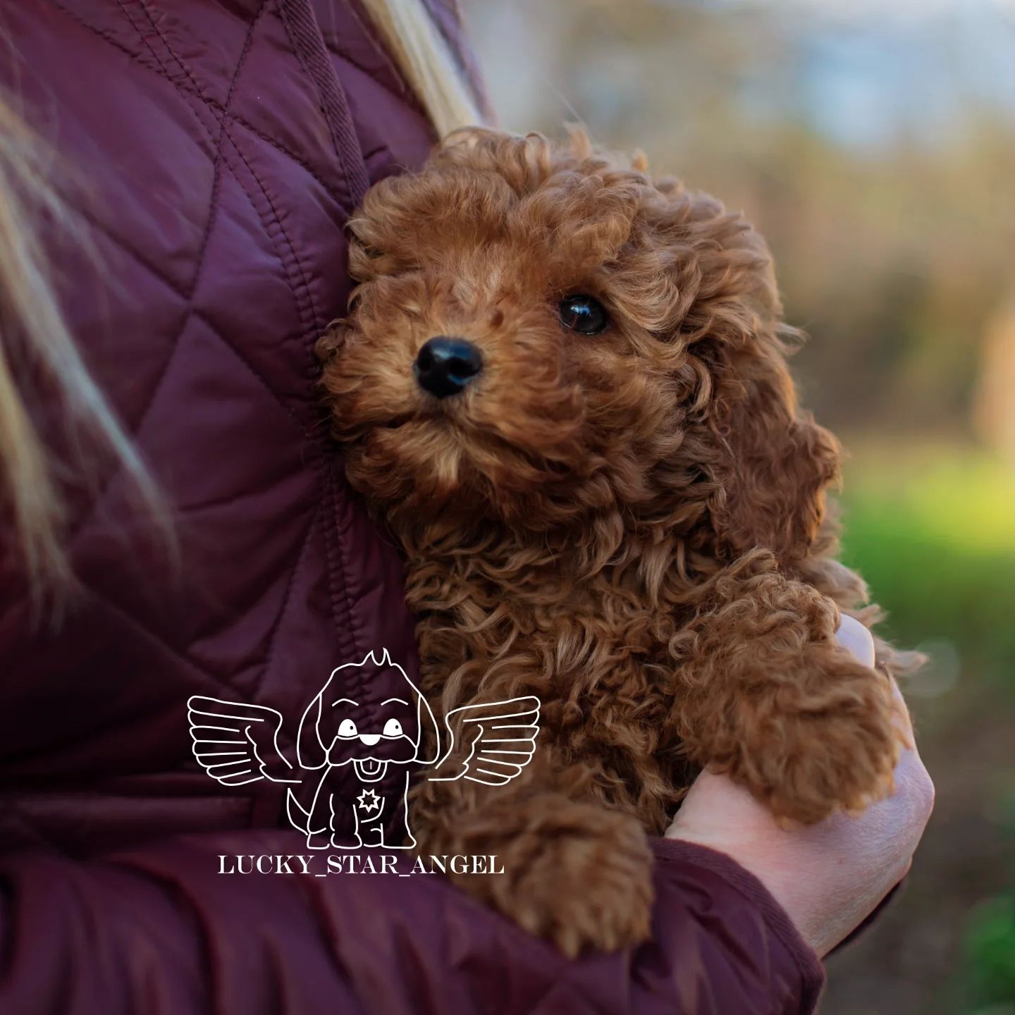 Китайські лінії хлопчик ❤️