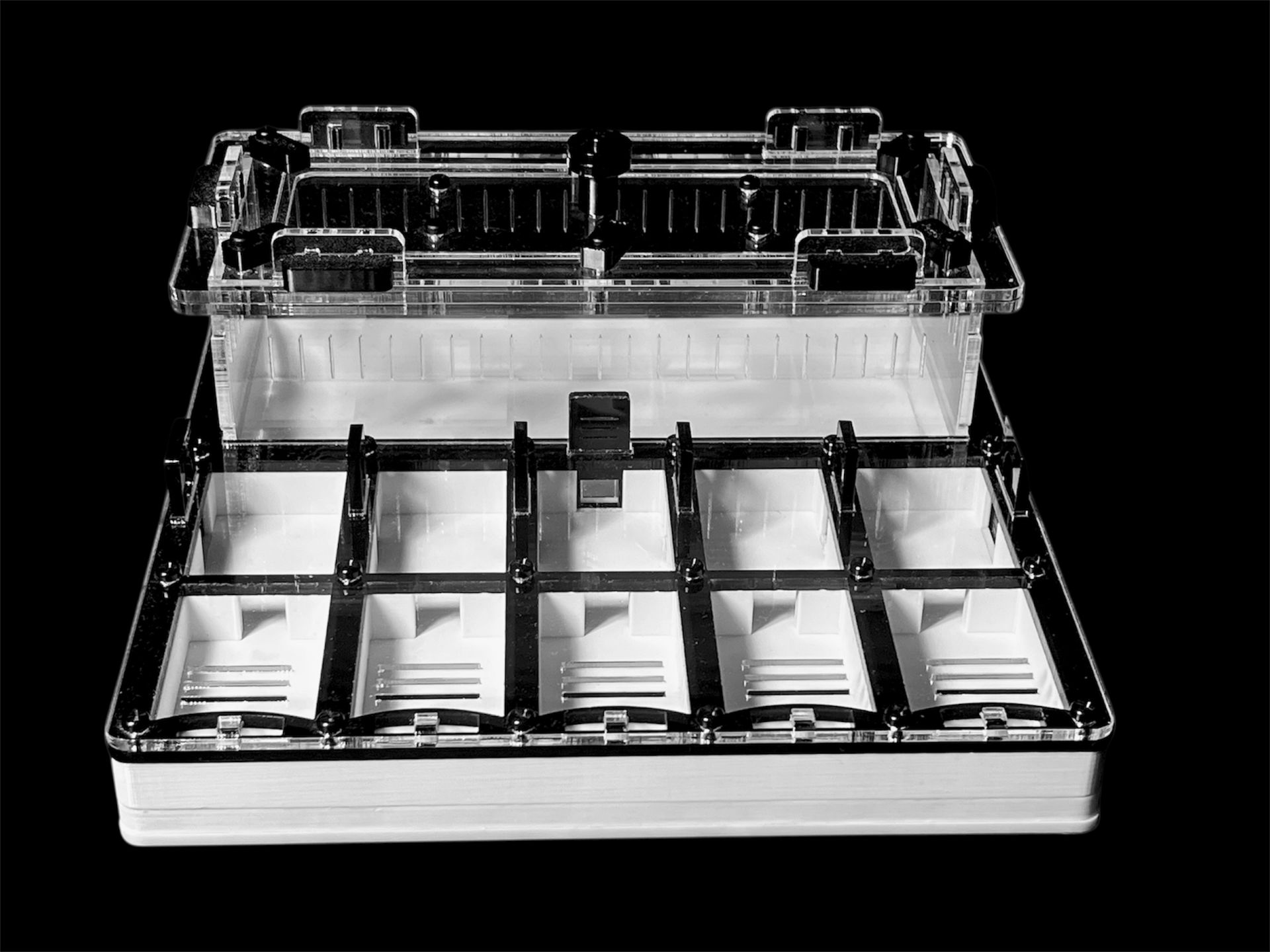 Муравьиная ферма с гипсом для Camponotus, Pheidole. Без побега! Доставка Украина