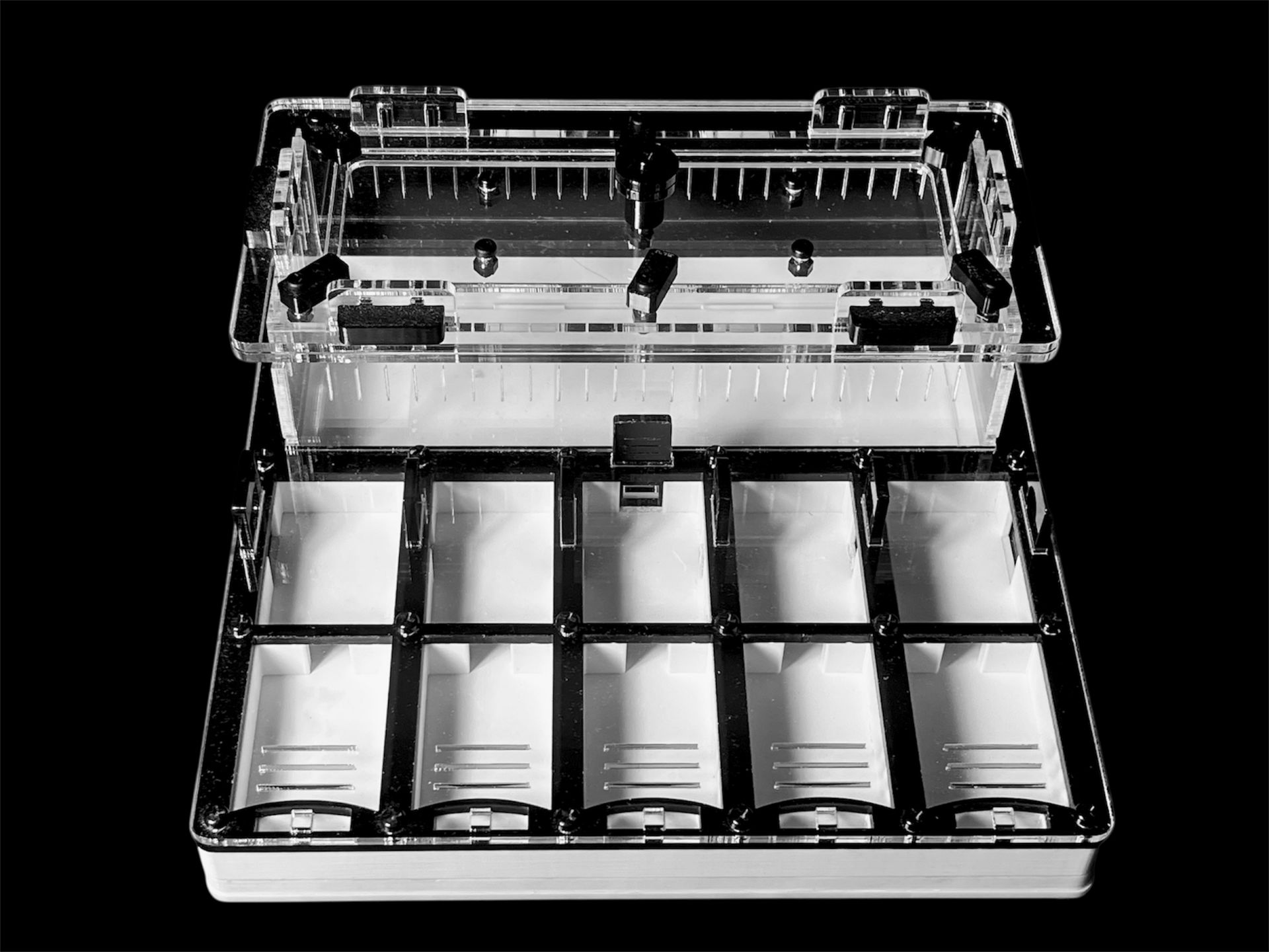 Муравьиная ферма с гипсом для Camponotus, Pheidole. Без побега! Доставка Украина
