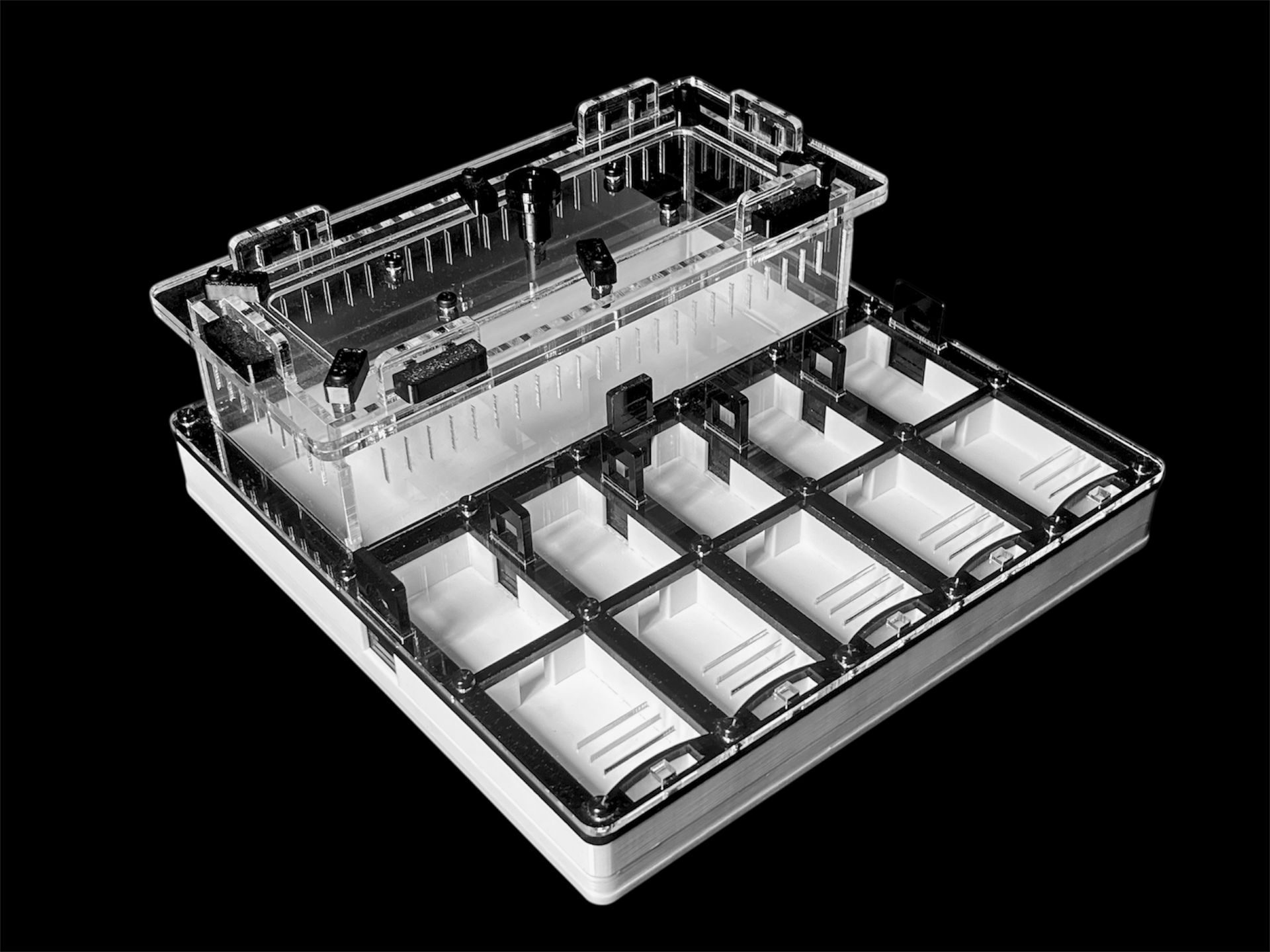 Муравьиная ферма с гипсом для Camponotus, Pheidole. Без побега! Доставка Украина