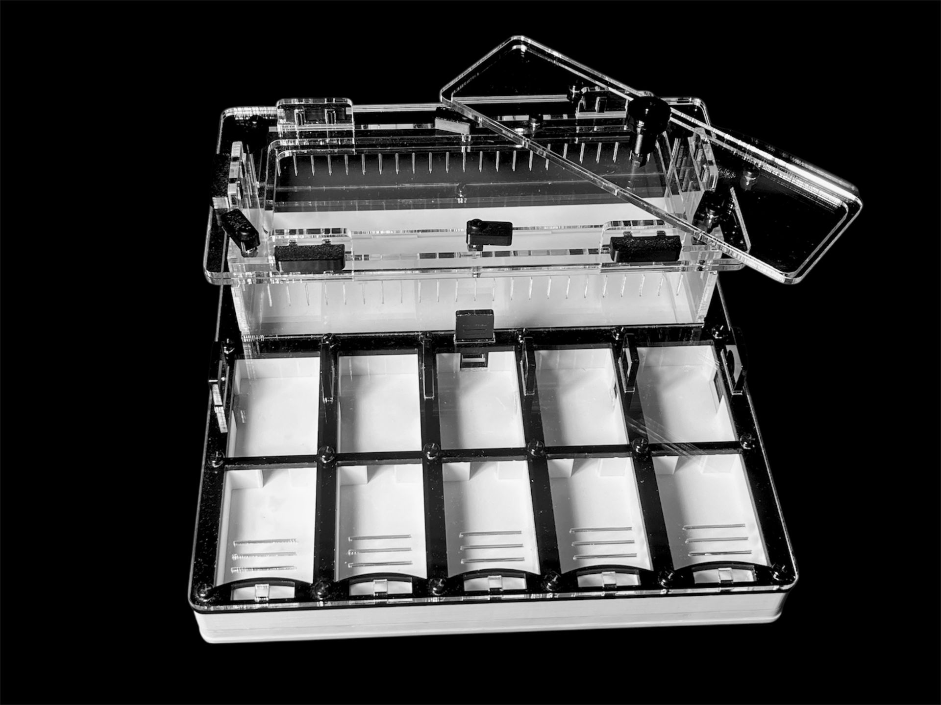 Муравьиная ферма с гипсом для Camponotus, Pheidole. Без побега! Доставка Украина