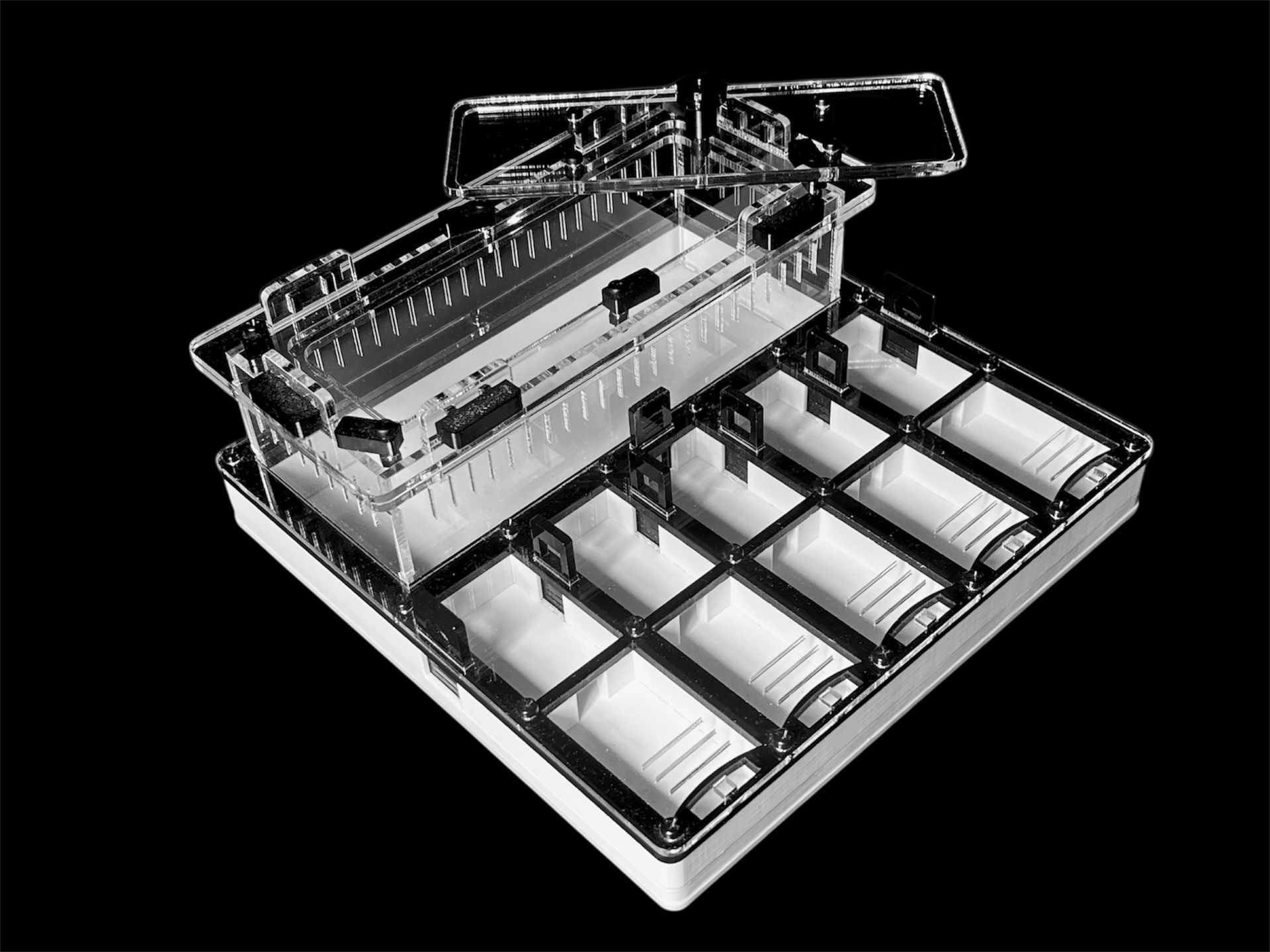 Муравьиная ферма с гипсом для Camponotus, Pheidole. Без побега! Доставка Украина