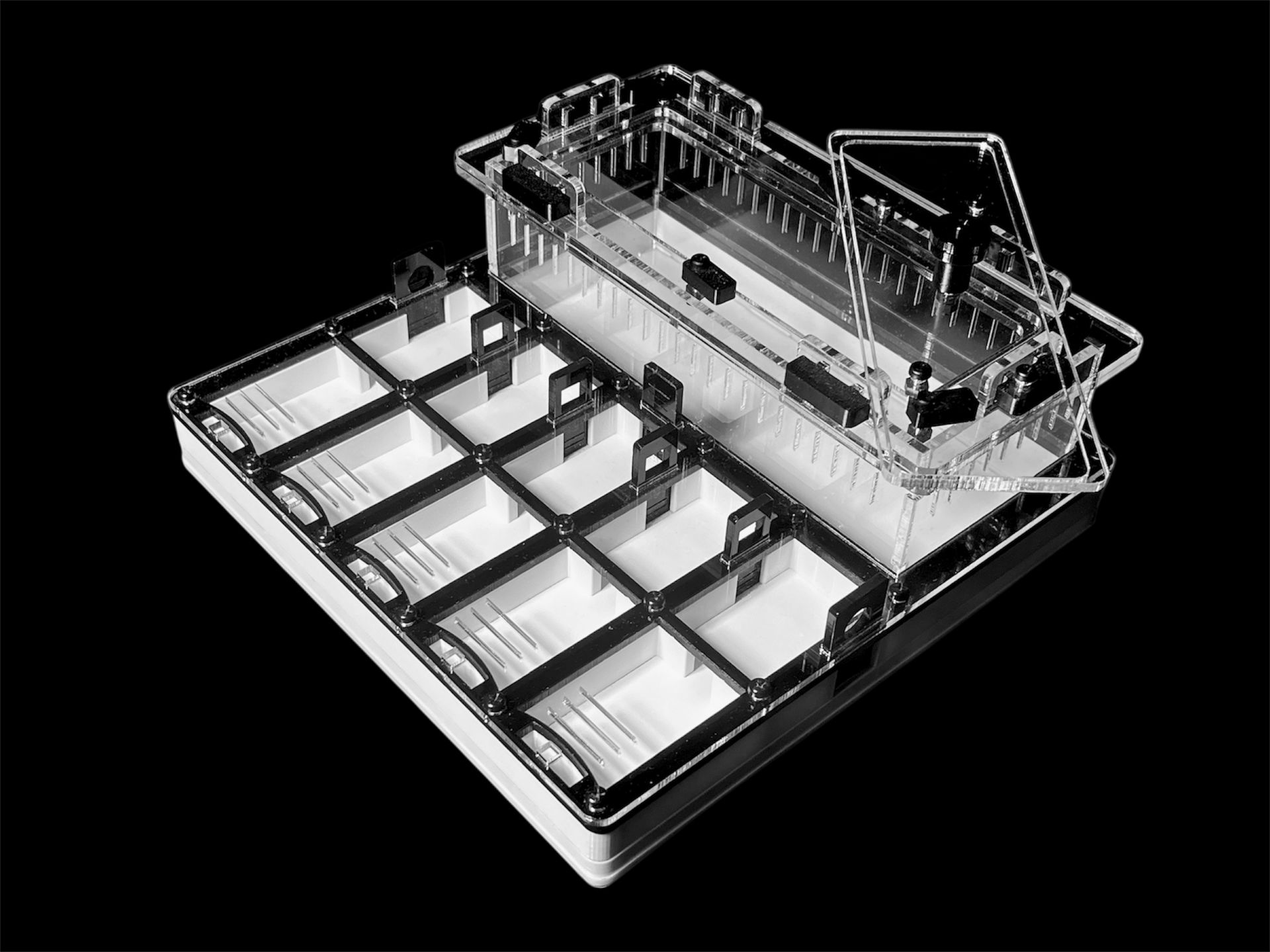 Муравьиная ферма с гипсом для Camponotus, Pheidole. Без побега! Доставка Украина