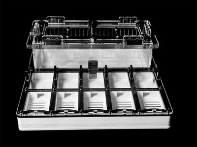 Муравьиная ферма с гипсом для Camponotus, Pheidole. Без побега! Доставка Украина