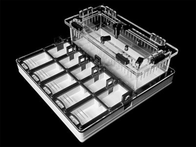Муравьиная ферма с гипсом для Camponotus, Pheidole. Без побега! Доставка Украина