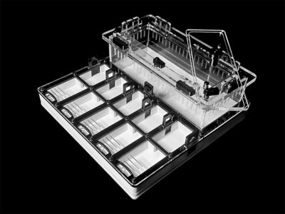Муравьиная ферма с гипсом для Camponotus, Pheidole. Без побега! Доставка Украина