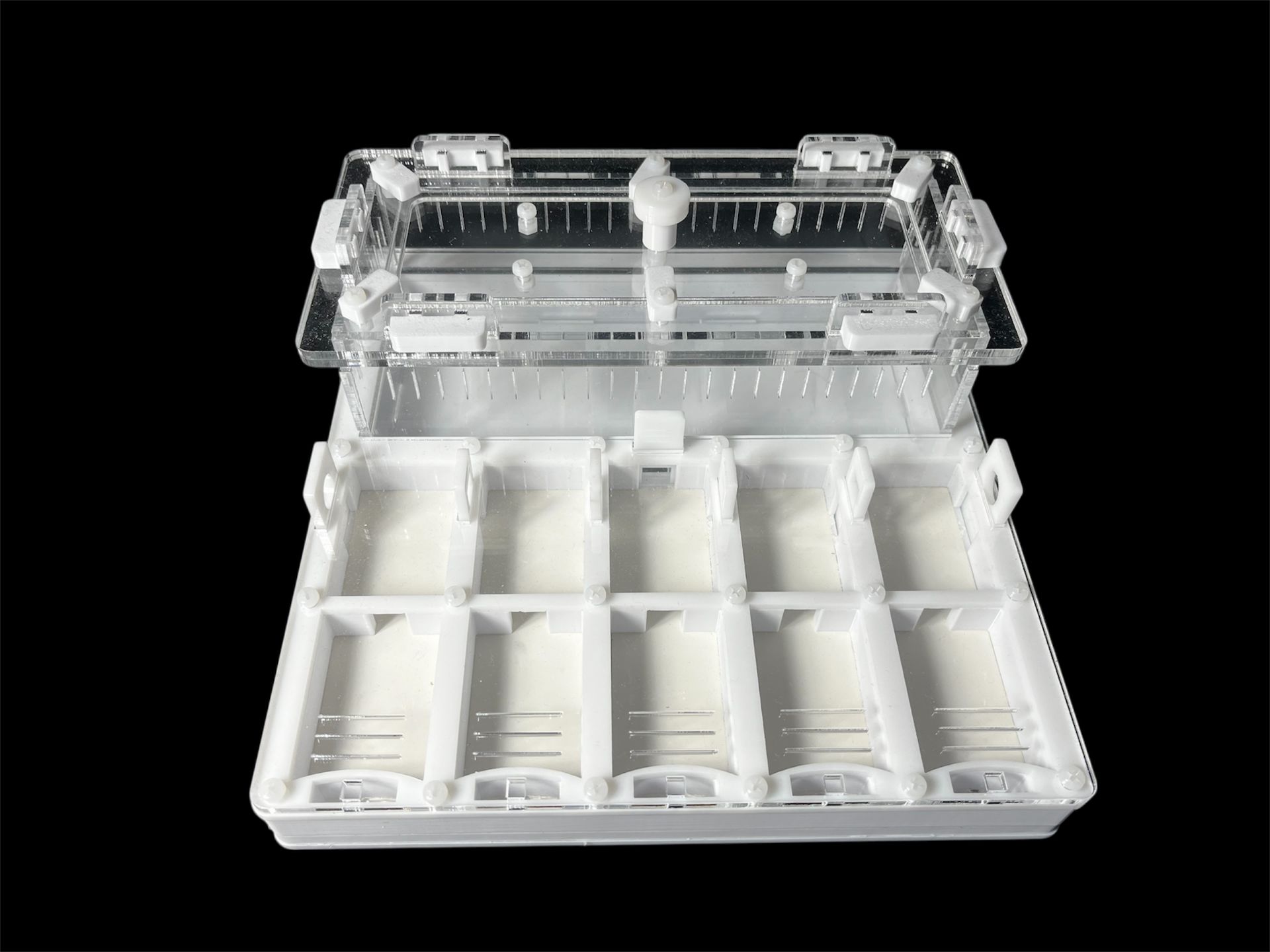 Муравьиная ферма с 5 зонами увлажнения. Герметичная крышка, безопасные материалы