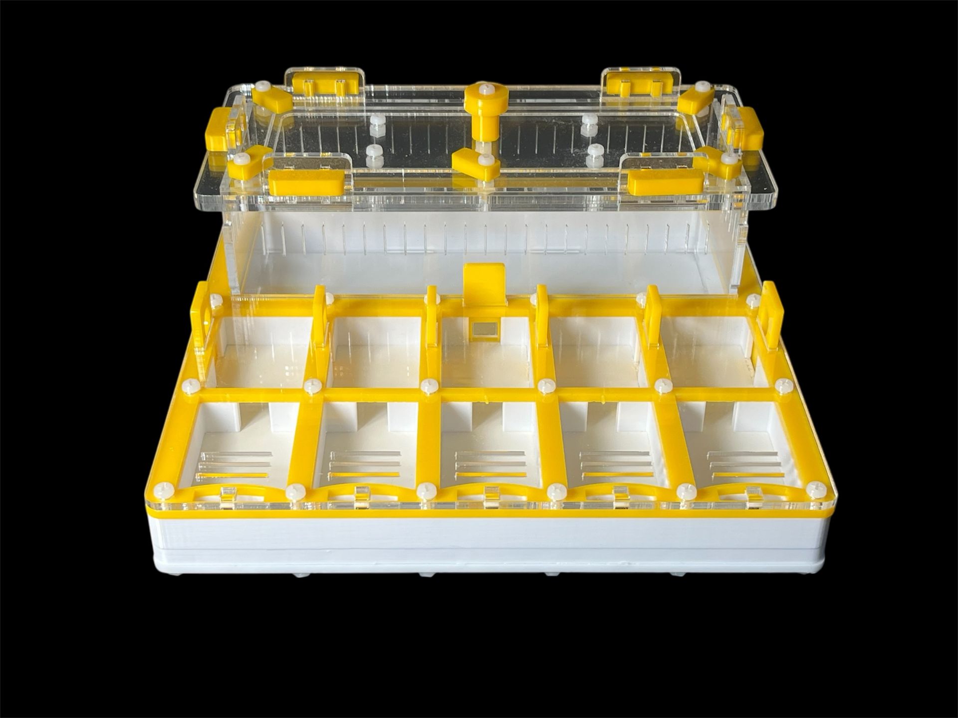 Муравьиная ферма с гипсом для Camponotus. 5 секций, двойная крышка, безопасные материалы